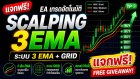 เจาะลึกระบบเทรด EA "Scalping 3EMA" กลยุทธ์เก็บสั้นด้วยเส้นค่าเฉลี่ย 3 เส้น